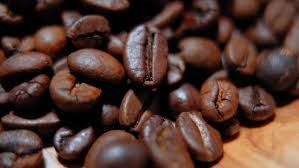 Coffee bean Coffee bean